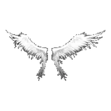 Ejemplo de alas de 1.ª generación: Wings of Heaven